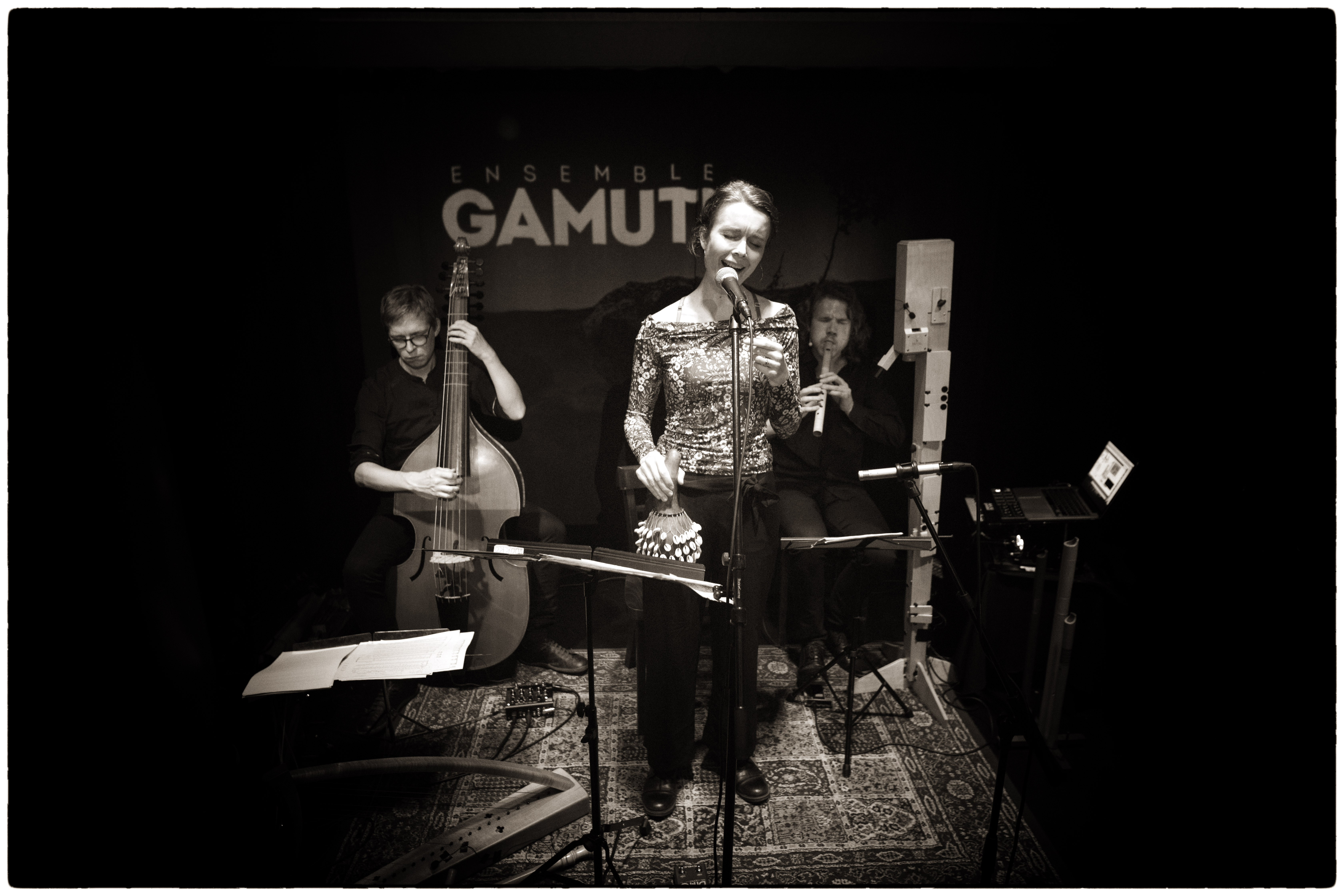 Ensemble Gamut! by Jari Flinck